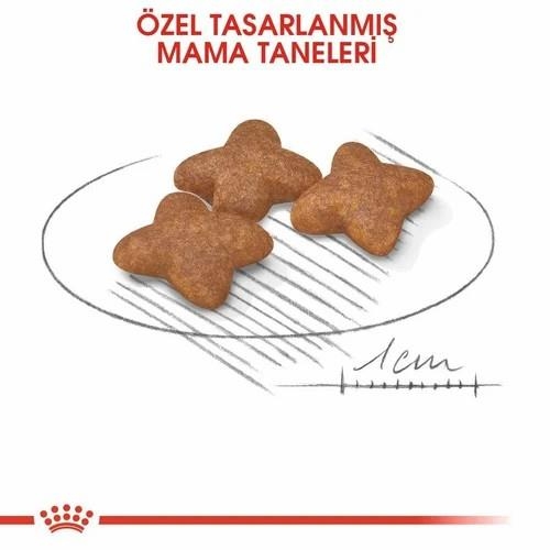 Royal Canin Mini Adult Küçük Irk Yetişkin Köpek Maması 2 Kg - 2