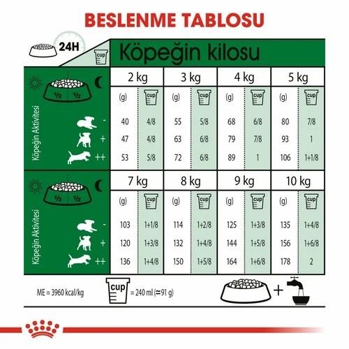 Royal Canin Mini Adult Küçük Irk Yetişkin Köpek Maması 2 Kg - 4