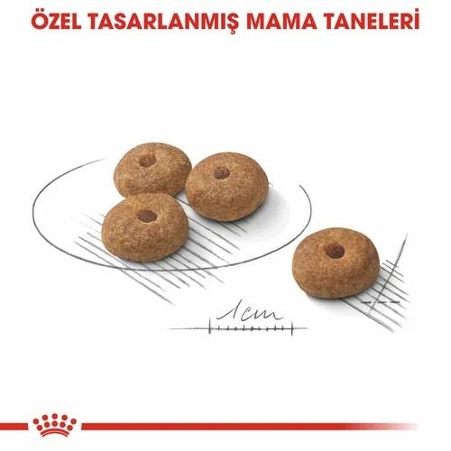 Royal Canin Mini Küçük Irk Kısırlaştırılmış Köpek Maması 3 Kg - 2