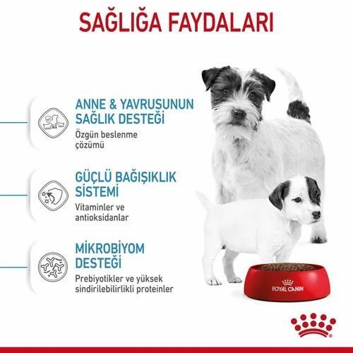 Royal Canin Mini Starter Küçük Irk Yavru Köpek Maması 4 Kg - 2