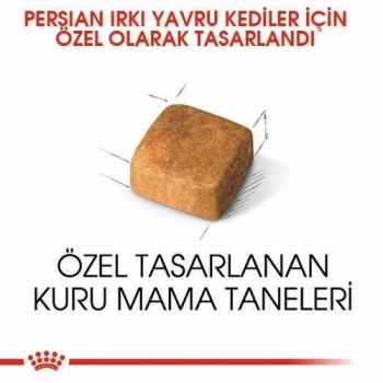 Royal Canin Persian Yavru Kedi Maması 2 Kg - 2