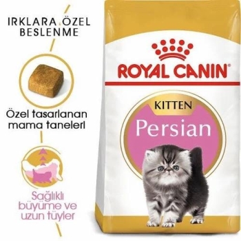 Royal Canin Persian Yavru Kedi Maması 2 Kg - 3