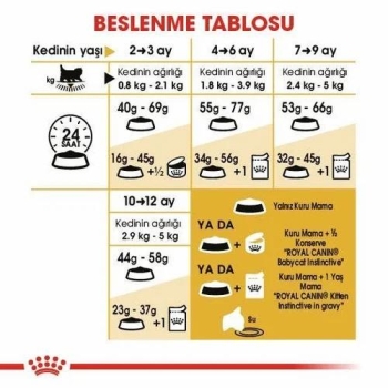 Royal Canin Persian Yavru Kedi Maması 2 Kg - 4