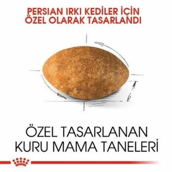 Royal Canin Persian Yetişkin Kedi Maması 10 Kg - 2