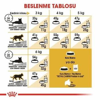 Royal Canin Persian Yetişkin Kedi Maması 10 Kg - 4