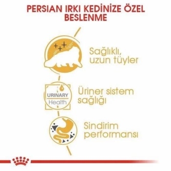 Royal Canin Persian Yetişkin Kedi Yaş Maması 85 Gr 12 Li - 3