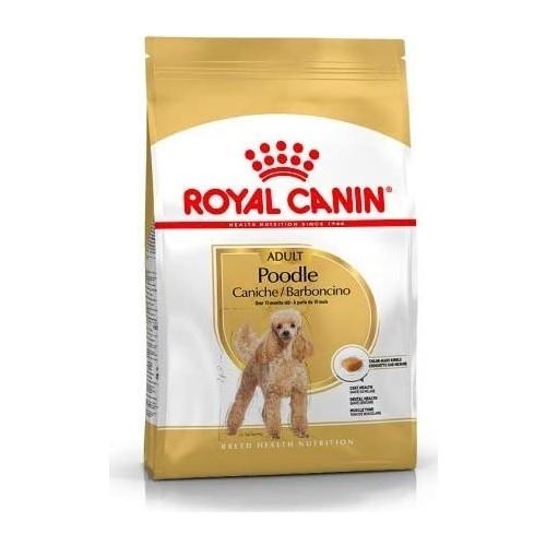 Royal Canin Poodle Yetişkin Köpek Maması 3 Kg - 1