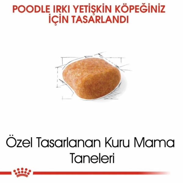 Royal Canin Poodle Yetişkin Köpek Maması 3 Kg - 2