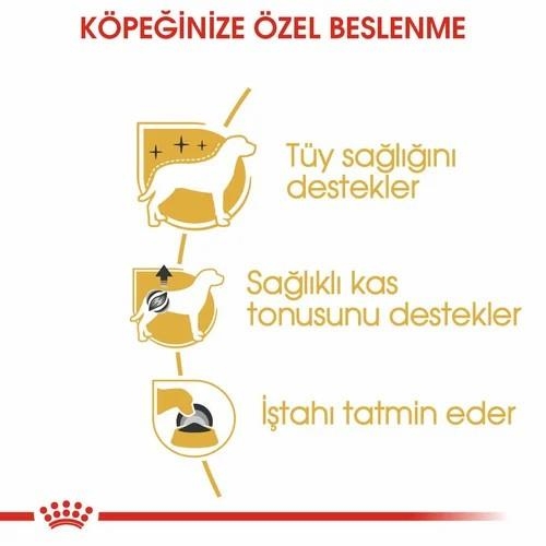 Royal Canin Poodle Yetişkin Köpek Maması 3 Kg - 4