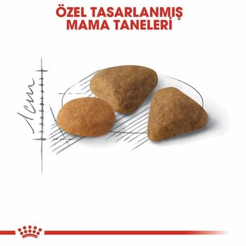 Royal Canin Savour Exigent 35/30 Yetişkin Kedi Maması 10 Kg - 2