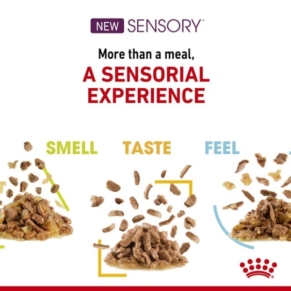 Royal Canin Sensory Feel Pouch Yetişkin Kedi Yaş Maması 85 Gr 12 Li - 5