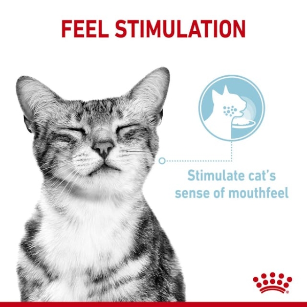 Royal Canin Sensory Feel Pouch Yetişkin Kedi Yaş Maması 85 Gr 12 Li - 3