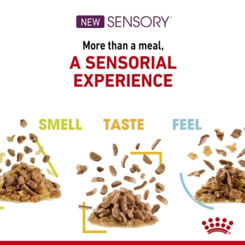 Royal Canin Sensory Feel Pouch Yetişkin Kedi Yaş Maması 85 Gr 12 Li - 4