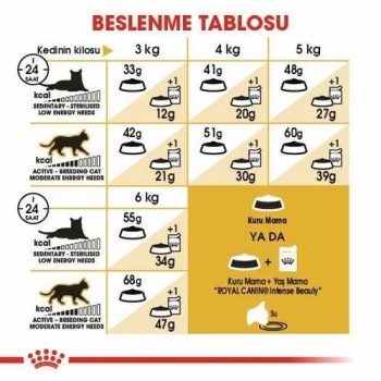 Royal Canin Siamese Yetişkin Kedi Maması 2 Kg - 4