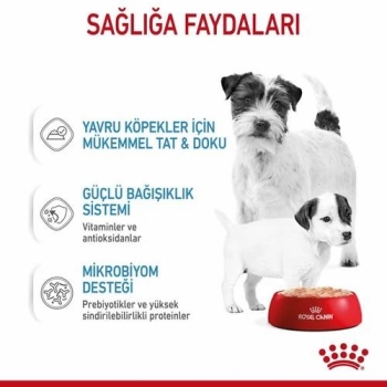 Royal Canin Starter Mother Babydog Yavru Köpek Konservesi 195 Gr 3 Lü - 2