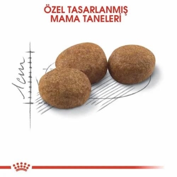 Royal Canin Sterilised 37 Kısırlaştırılmış Kedi Maması 10 Kg - 2