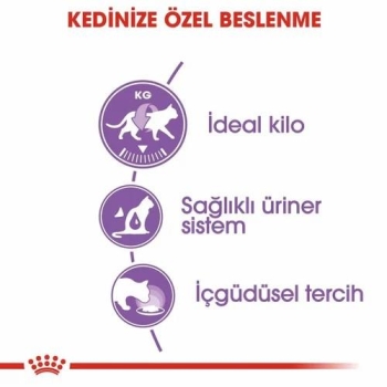 Royal Canin Sterilised Jelly Kısırlaştırılmış Kedi Yaş Maması 85 Gr 12 Li - 3