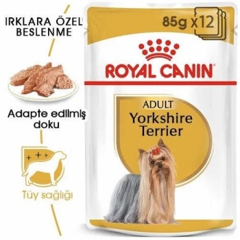 Royal Canin Yorkshire Terrier Yetişkin Köpek Yaş Maması 85 Gr 12 Li - 3