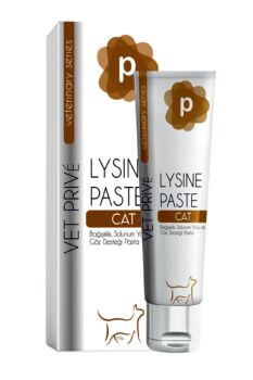 Vet Prive Lysine Paste - 1